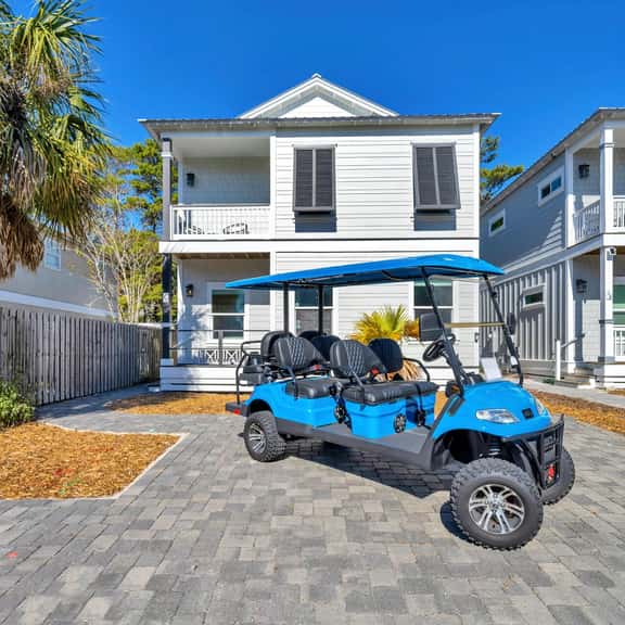 Snapper Paradise - Image 1