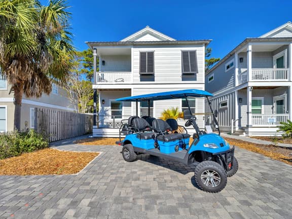 Snapper Paradise - Image 1